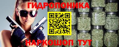 дживик Моздок