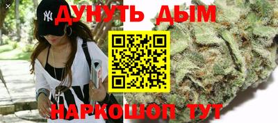 дживик Моздок