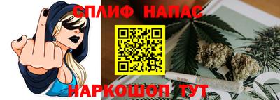 дживик Моздок