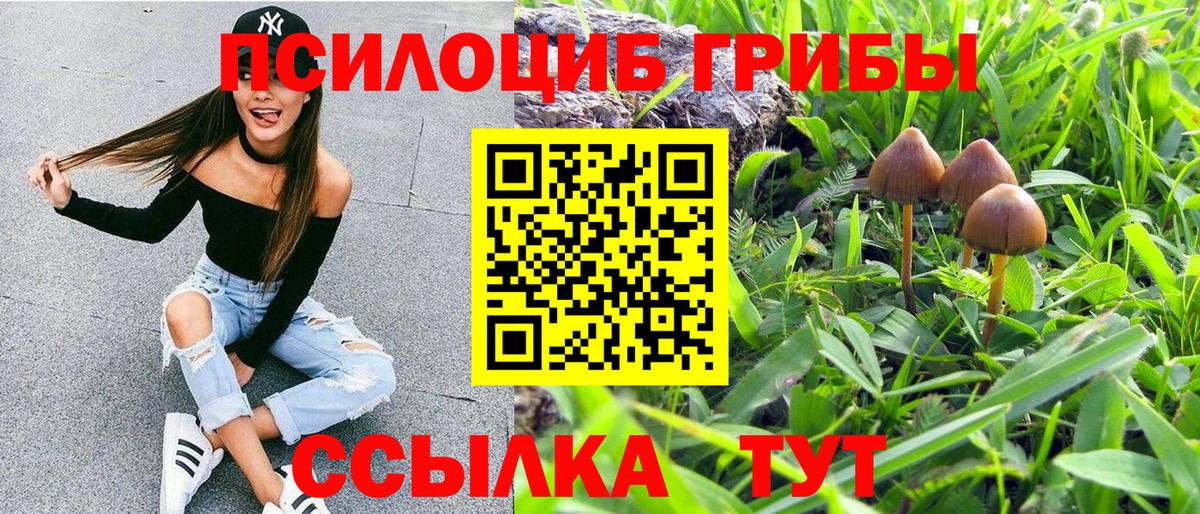 Псилоцибиновые грибы прущие грибы  Псилоцибиновые грибы GOLDEN TEACHER  Вход с VPN  Щёлково 